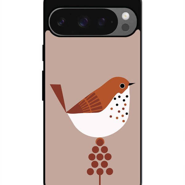 Google Pixel 9, 2D Metal