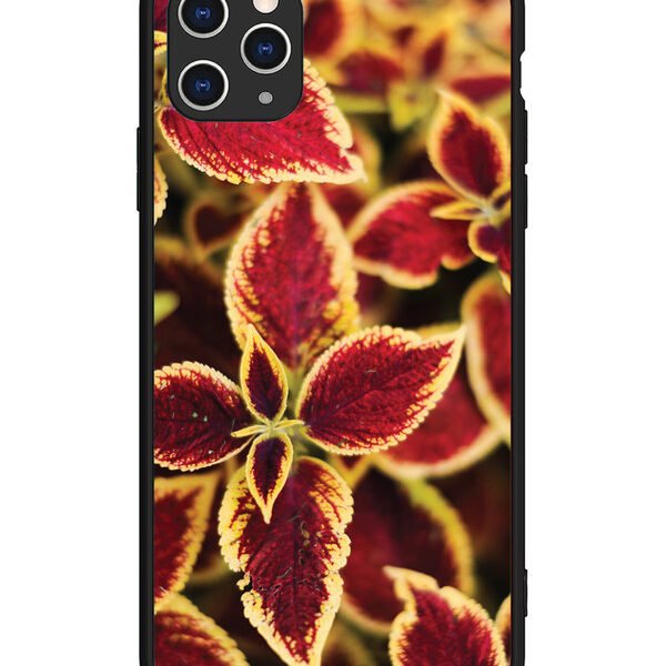 iPhone 11 Pro Max | 2D Metal | Autumn Blaze | LC079
