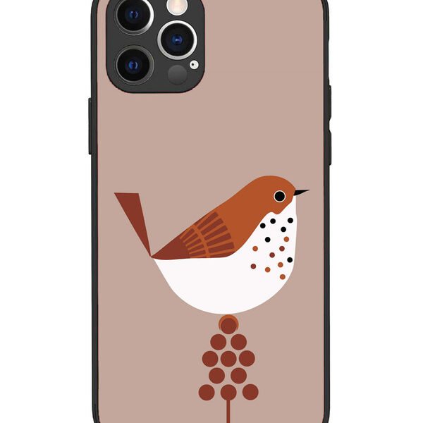 iPhone 12 Pro | 2D Metal | Sparrow | LC069