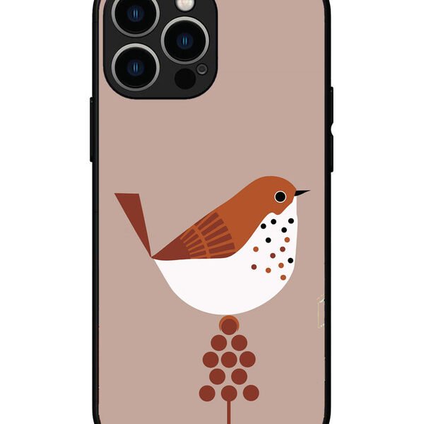 iPhone 13 Pro Max, Metal Back Cover