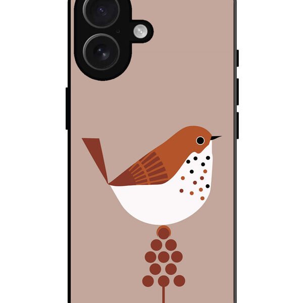 iPhone 16, Metal Back Cover