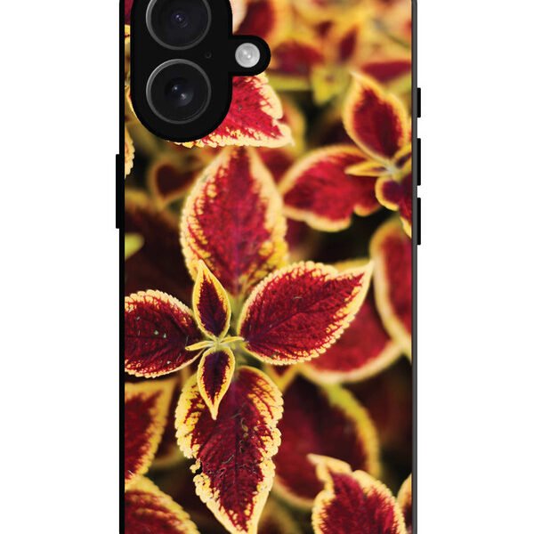 iPhone 16, Metal Back Cover