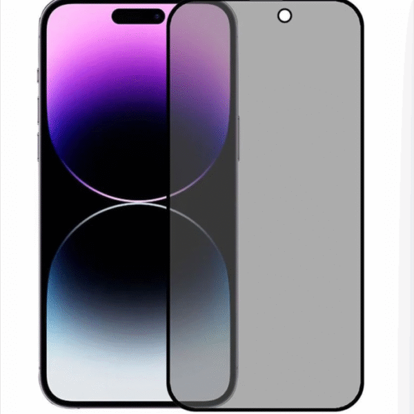 iPhone 16 Plus - Privacy Glass