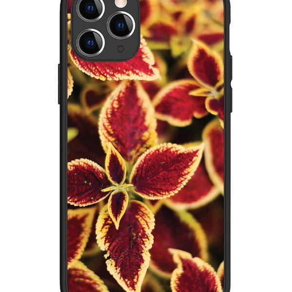 iPhone 11 Pro | 2D Metal | Autumn Blaze | LC081