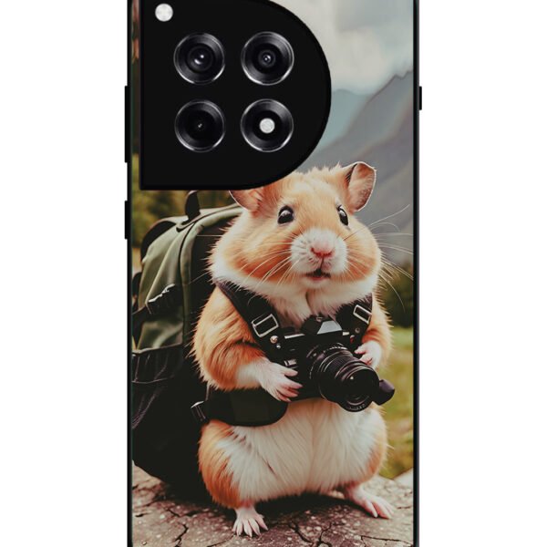 OnePlus 12R, 2D Metal