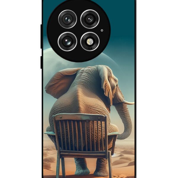 OnePlus 13, 2D Metal