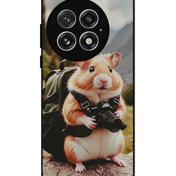 OnePlus 13, 2D Metal