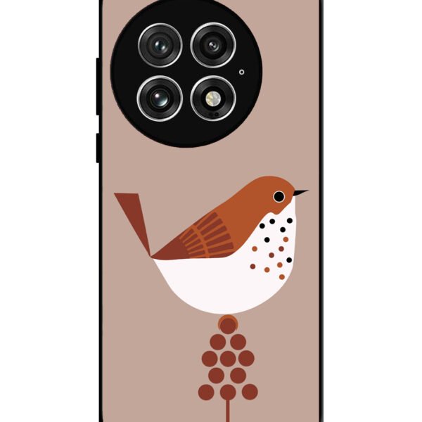 OnePlus 13, 2D Metal