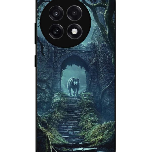 OnePlus 13R, 2D Metal