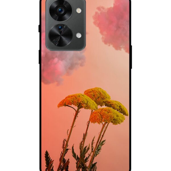 oneplus nord 2t 5g, 2D Metal