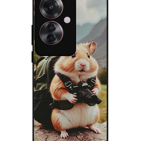 Oppo F25 Pro, 2D Metal